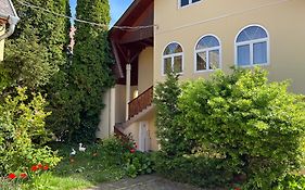 Apartment Villa Attila